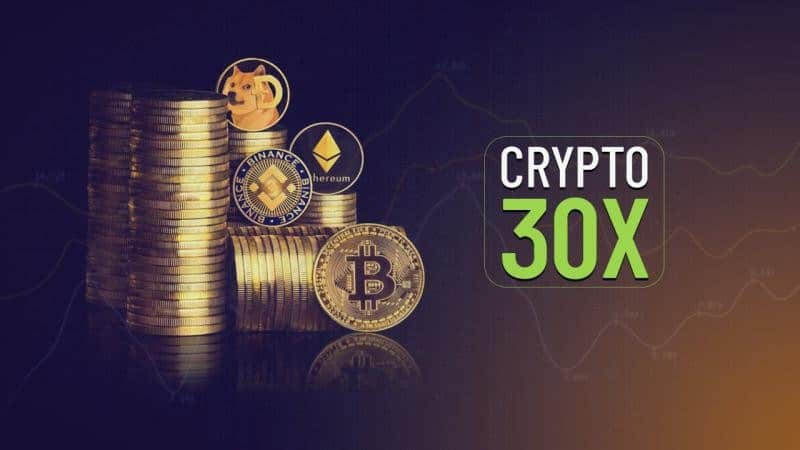 Crypto30x.com Gigachad