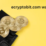 eCryptoBit.com Wallets